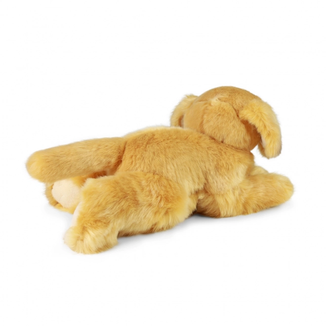 Retriever peluche eco-friendly 30 cm