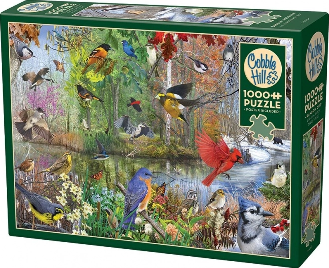 Puzzle Uccelli delle stagioni 1000 pezzi