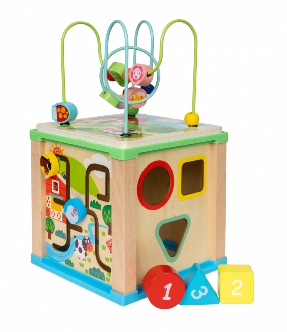 Cubo di attività in legno 5 in 1