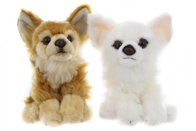 Peluche Cane Chihuahua 17 cm