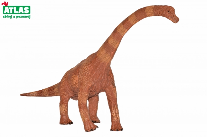 Figura Brachiosaurus in Dimensione Originale