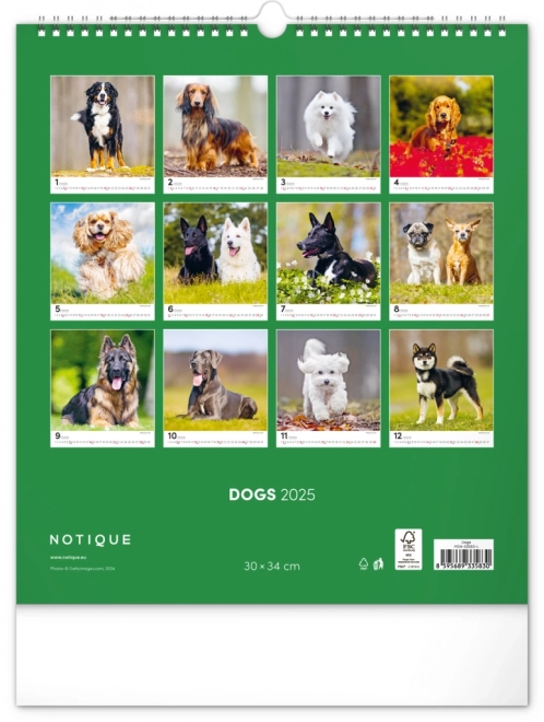 Calendario da muro cani 2025