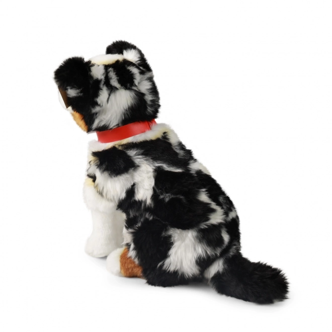 Cane Australiano Pastore in Peluche Eco-Friendly 30 cm