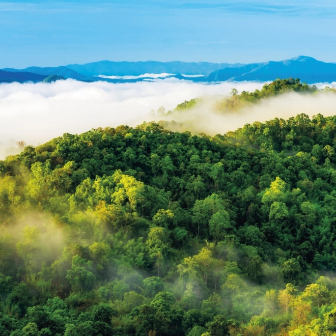 Calendario appunti Foreste Pluviali 2025