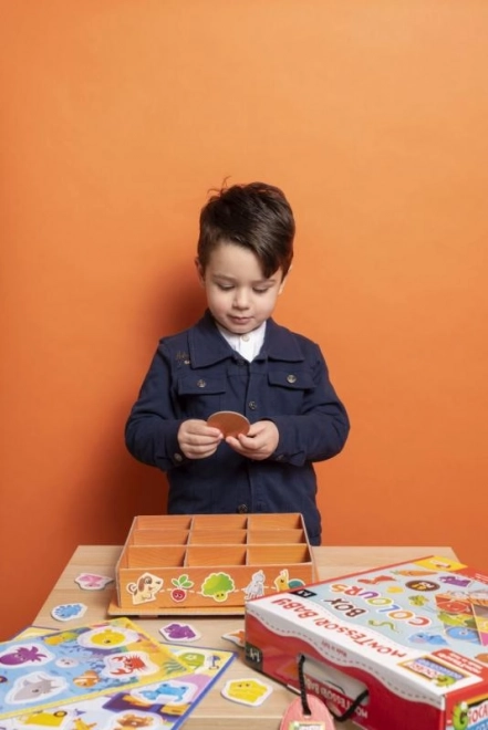 Montessori scatola dei colori per bambini