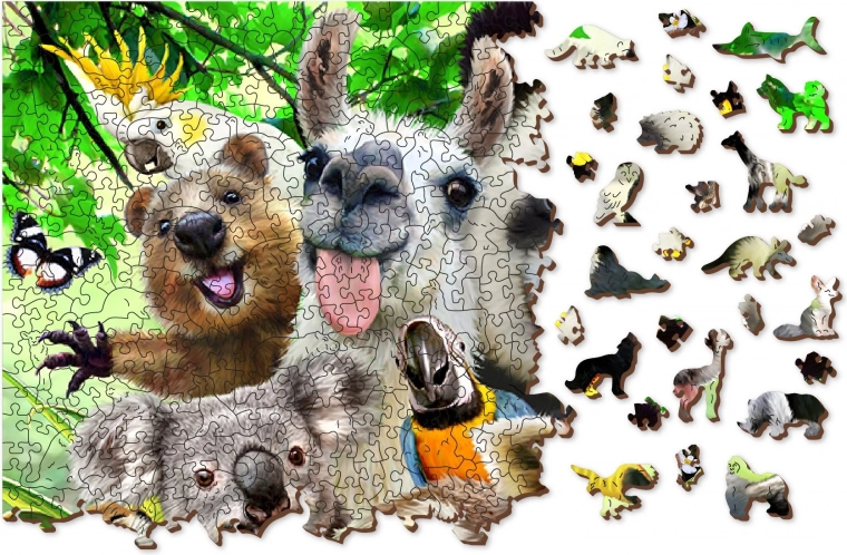 Montaggio double-face