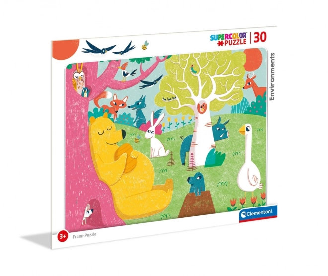 Puzzle ambienti 30 pezzi