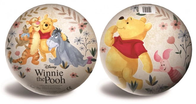 Palla winnie the pooh 23 cm