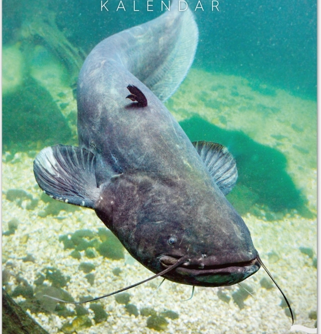 Calendario da parete di pesca 2026