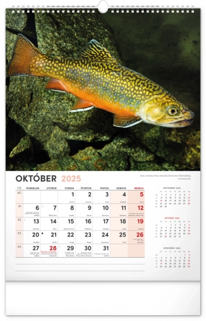 Calendario da parete Pescatore 2025