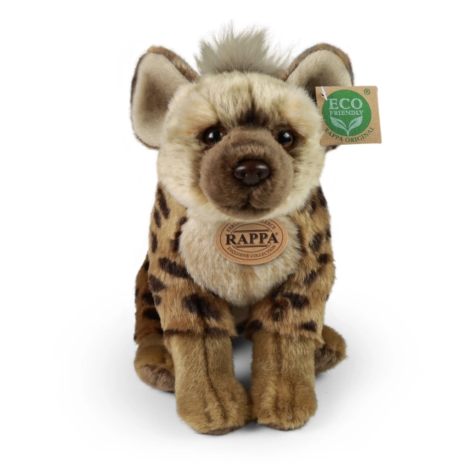 Collezione esclusiva RAPPA