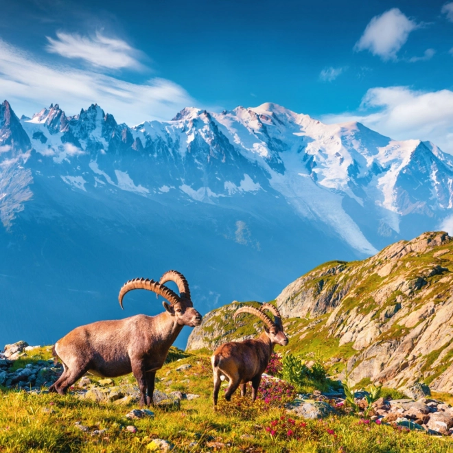 Calendario con appunti Alpi 2026