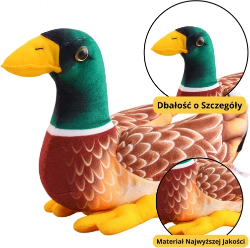 Giocattolo di peluche anatra marrone-verde 28 cm