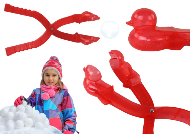 Formatura lampo delle anatre di neve
