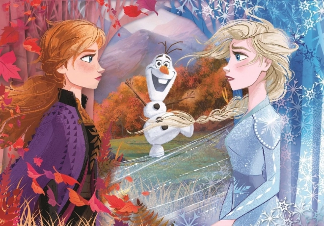 Puzzle Cornice Frozen 2: Principesse e Generale 15 Pezzi