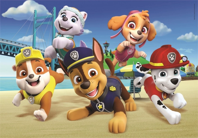 Puzzle 60 pezzi - Paw Patrol