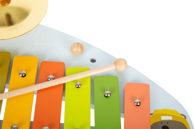 Lamelle codificate a colori per un apprendimento rapido