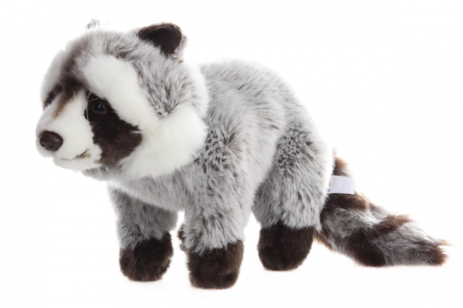 Peluche Procione