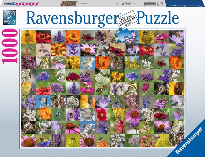 Puzzle Collage Api di Ravensburger 1000 pezzi