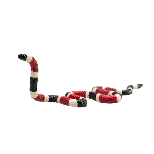 Realistica figurina Serpente di Coral