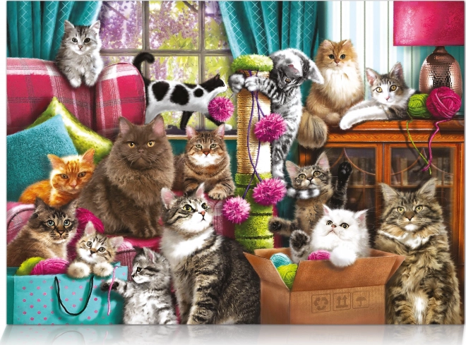 Puzzle Casa dei Gatti 1000 pezzi