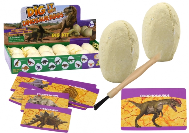 Kit Archeologico Uova di Dinosauro