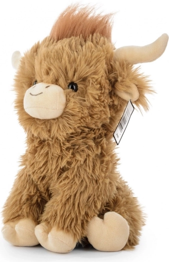 Aspetto autentico della mucca Highland