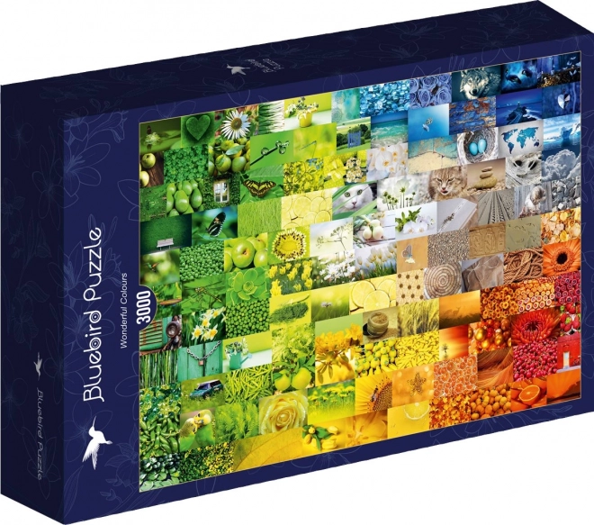 Puzzle meravigliose colori 3000 pezzi