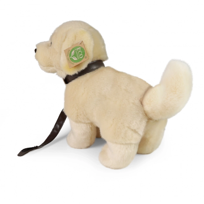 Peluche cane Golden Retriever con guinzaglio