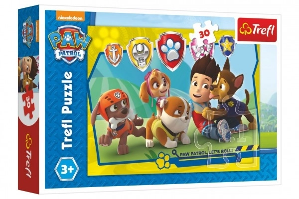 Puzzle PAW Patrol Ryder e amici 30 pezzi