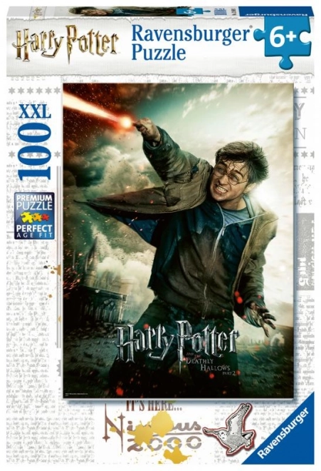 Puzzle Harry Potter 100 pezzi