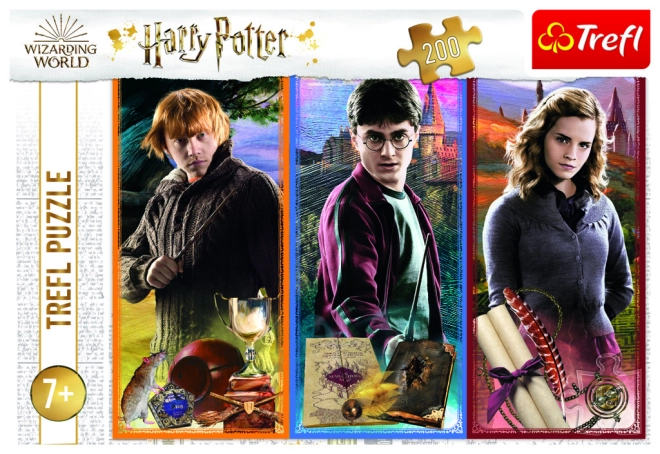 Motivo ufficiale HARRY POTTER di Trefl