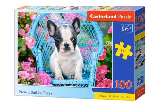 Puzzle 100 Pezzi Cucciolo di Bulldog Francese