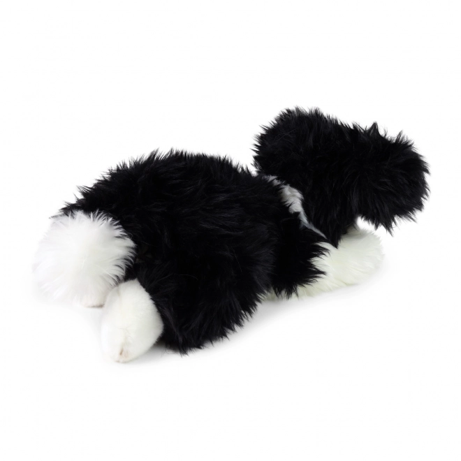 Cane Bordie Collie di Peluche ECO-FRIENDLY 30 cm