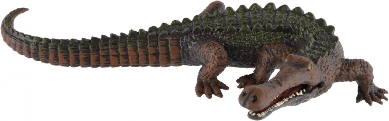 Dettagli realistici per un’esperienza autentica