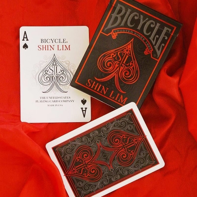 Carte da gioco Bicycle di Shin Lim