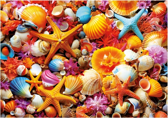 Puzzle Conchiglie 1000 pezzi EDUCA