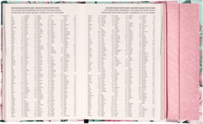 Diario Settimanale Magnetico Fiori Rosa 2025