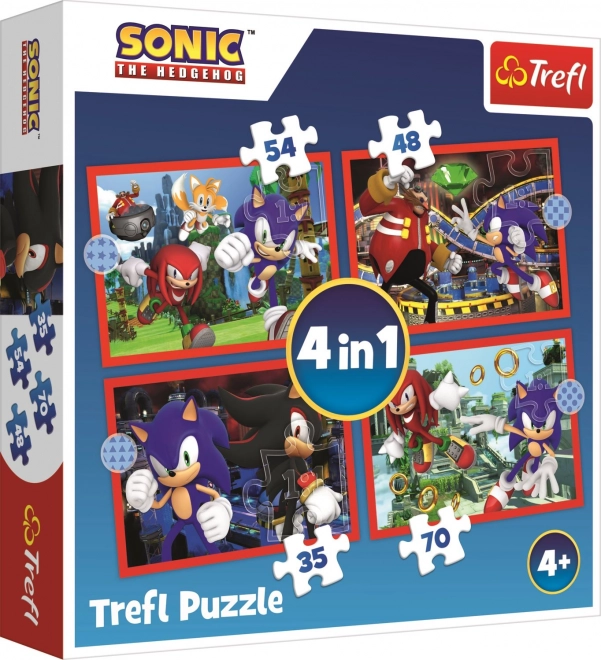 Puzzle Avventure di Sonic