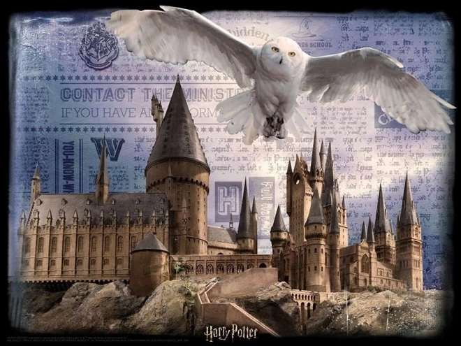 Puzzle 3D Harry Potter Scuola di Magia e Stregoneria di Hogwarts 500 pezzi