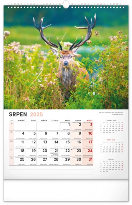 Calendario da parete 2025 cacciatore e natura ceca