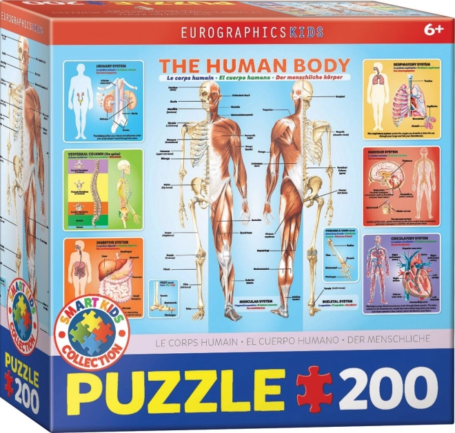 Puzzle Eurographics Corpo Umano 200 Pezzi