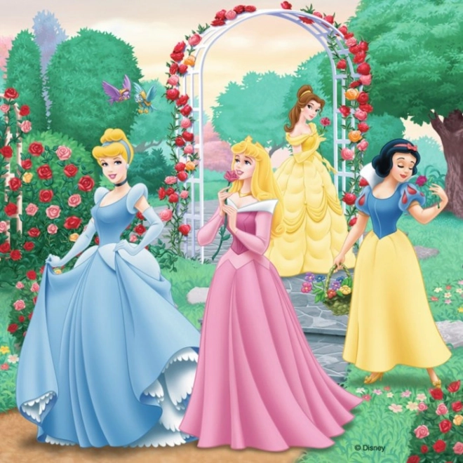 Puzzle Disney Principesse: Sogni