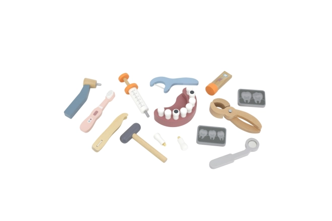 Strumenti realistici e modello di dentatura