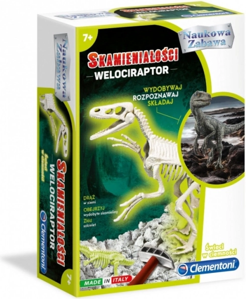 Fossile di velociraptor