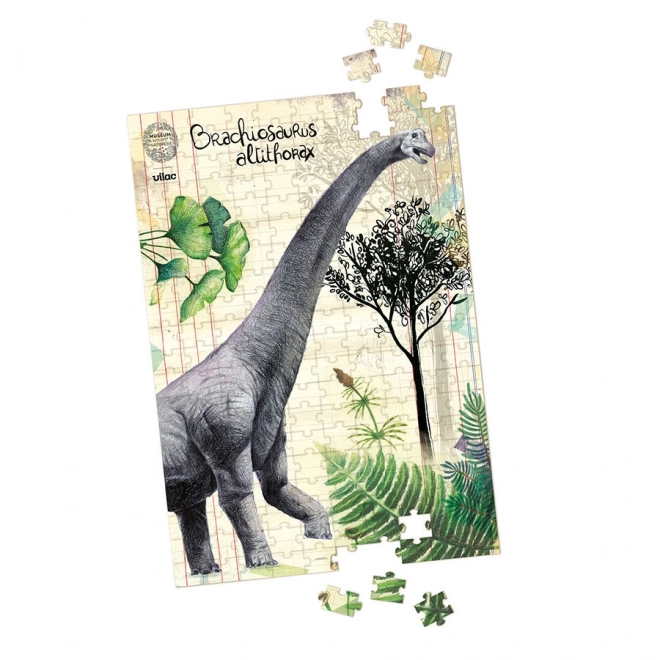 Vilac set di 3 puzzle dei dinosauri