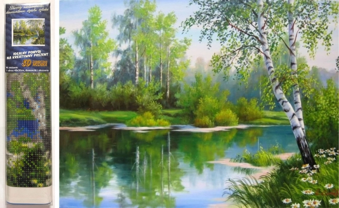Pittura Diamante Primavera Paesaggio 30x40 cm