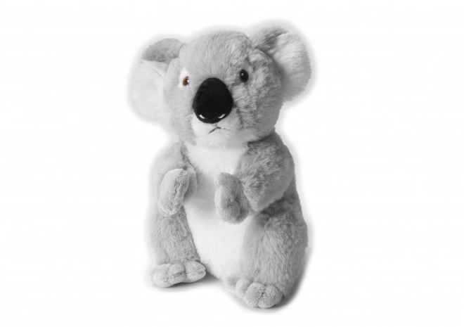 Peluche koala eco 22 cm