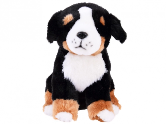 Cane bernese seduto 20 cm