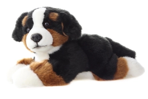 Peluche cane di montagna bernese 25 cm